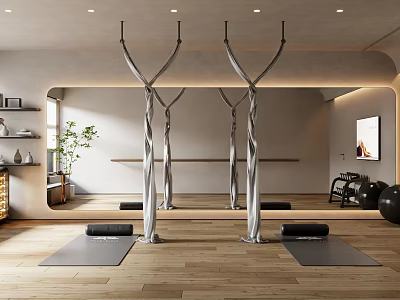 Modern Fitness Studio with Aerial Yoga Hammocks Yoga Mats Mirror Wall and Wooden Floor 3d model