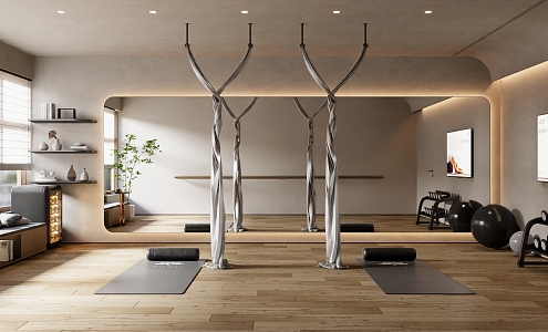 Modern Yoga Room 3d model