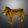 Lion 3D Model With Orange Fur Mane And Standing Pose On Gray Background 3d model