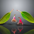 Fresh Green Leaves And Pink Blooms On Reflective Surface With Clear Reflections