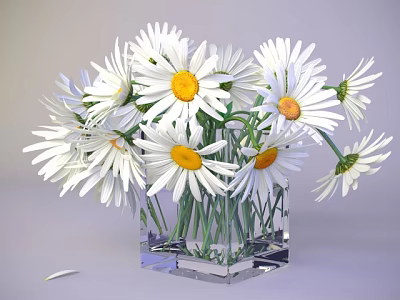 White Daisies With Yellow Centers In Transparent Square Glass Vase On Light Gray Background 3d model