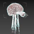 Red Brain Like Creature With Large Eye And Tentacles On Black Background 3d model