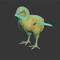Adorable Young Yellow Chick Standing on Black Background with Spread Wings