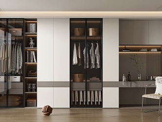 Modern Wardrobe Home Cloakroom 3d model