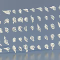 Collection of White Anatomical Organ and Hair Models Arranged on Blue Background