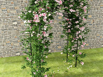 Decorative Arbor Adorned With Pink Flowers And Green Vines Against Stone Wall On Grass Lawn 3d model