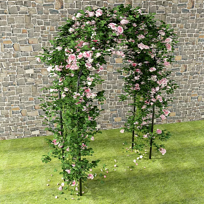 Decorative Arbor Adorned With Pink Flowers And Green Vines Against Stone Wall On Grass Lawn 3d model