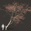 Curved Tree With Red Leaves And White Human Figure In Natural Scene