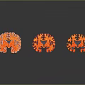 head structure head planer face human head planer face human brain planer face head structure brain structure human head structure 3d model