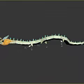 3D Dragon Model With Coiled Yellow Turquoise Body Shiny Surface And Reflective Base 3d model