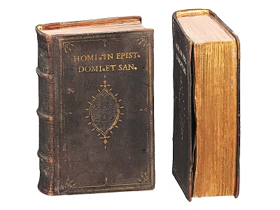 Antique Books With Decorative Cover And Yellowed Pages On 3d model