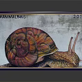 Colorful Snail Animal Painting Framed 2017 On Gray Background With Reflection