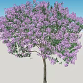 Beautiful Arbor With Purple Flowers Against Blue Sky And Green Grass