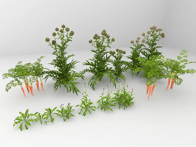 Carrots Growing With Green Leafy Plants And Flowering Vegetation In Garden 3d model
