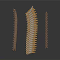 Three Anatomical Skeletal Spinal Vertebrae Models with Bony Projections and Brown Surface