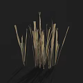 Natural Grass Plants with Light Brown Green Blades on Dark Background