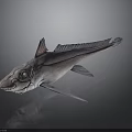 Unique Pinkish Purple Fish 3D Model With Large Eyes And Fins