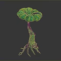 Unique Artistic Arbor With Green Umbrella Shaped Leaves Dark Trunk And Multiple Root Branches