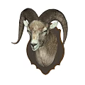 Decorative Ram Head Animal Wall Decor for Home Living Room Hanging Decoration