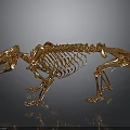Golden Animal Skeleton in Standing Pose on Dark Background with Reflection