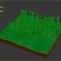 Green Plants With Yellow Stems And Green Leaves Growing On Green Ground In
