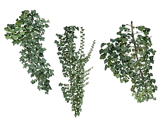 green plant vine 3d model