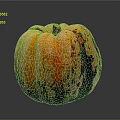 Colorful Striped Spotted Pumpkin With Yellow Orange Black Green Hues On Black Background With Reflection