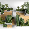 Lush Green Plants In Modern Garden Design With Wooden Platforms And Concrete Planters