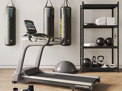 Home Gym Sports Equipment With Treadmill Punching Bags Dumbbells Medicine Balls Exercise Ball On Shelf 3d model