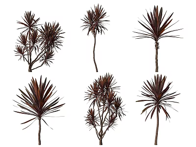 Different Types of Shrubs Featuring Dark Brown Leaves and Various Branch Forms 3d model