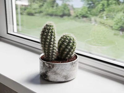 Cactus Potted Plant In Gray White Pot On White Windowsill With Green View 3d model