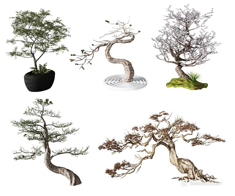 Decorative Arbor Trees with Various Curved Branches Different Pots and Mossy Bases 3d model