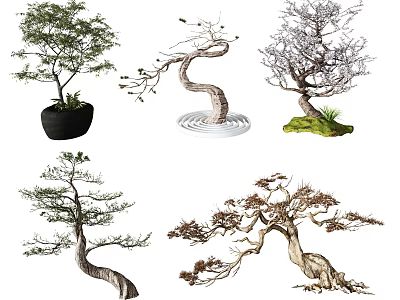 Decorative Arbor Trees with Various Curved Branches Different Pots and Mossy Bases 3d model