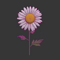 White Petal Daisy with Yellow Center Green Stem and Fresh Green Leaves
