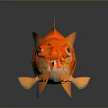 Vibrant Red Goldfish With Big Eyes Orange Scales And Reflection On Gray Background