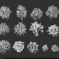 White Arbor Trees With Various Shapes And Sizes On Dark Background 3d model