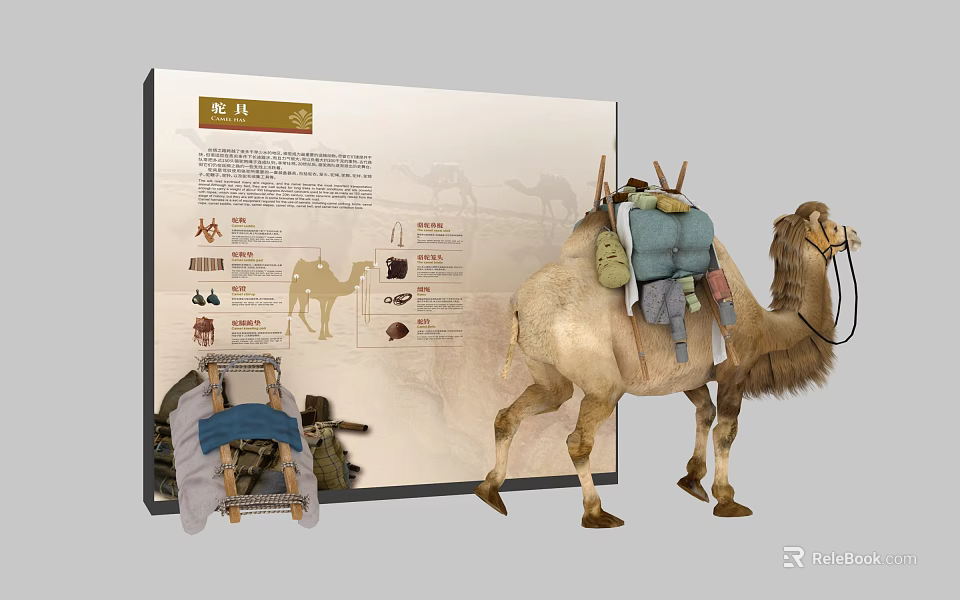 Traditional Camel Caravan Display With Historical Gear And Informative Exhibition Panel 3d model 