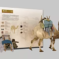 Traditional Camel Caravan Display With Historical Gear And Informative Exhibition Panel