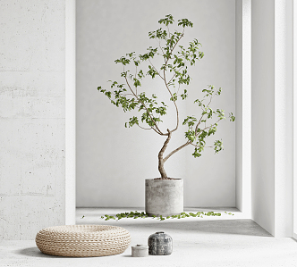 Modern potted plant potted ornaments 3d model