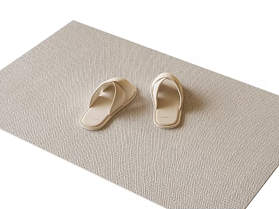 Beige Flip-Flops Placed On Beige Woven Mat For Cozy Home Use 3d model