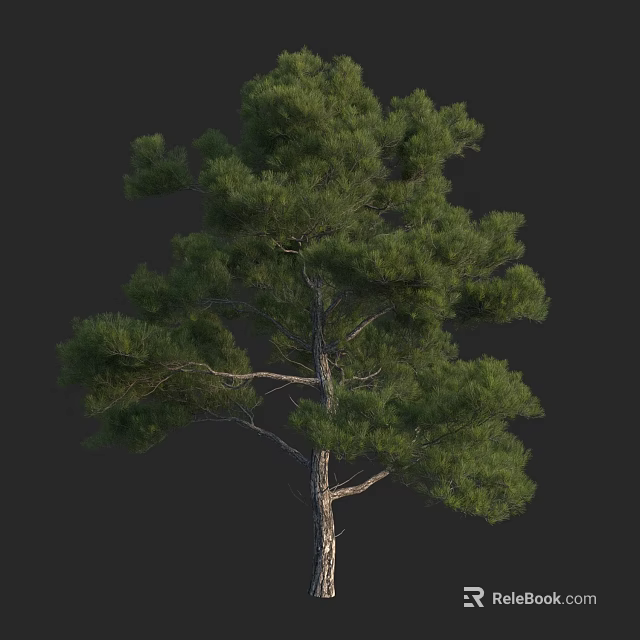 Tall Arbor With Lush Green Foliage And Strong Trunk In Natural Setting 3d model 