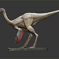 Realistic Bird Like Dinosaur Model With Colorful Feathers On Square Base 3d model