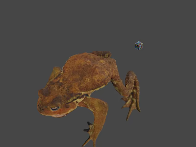 Realistic Brown Toad With Small Colorful Flying Device On Gray Background 3d model