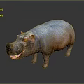 Colorful 3D Hippopotamus Model with Red Eyes Open Mouth and Detailed Texture on Dark Background