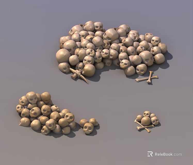 Medical Equipment Skeletal Models And Anatomical Teaching Tools For Educational Use 3d model