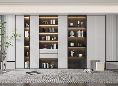 Modern bookcase 3d model