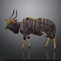 Nyala Antelope With Purple Body White Stripes Orange Legs And Curved Horns