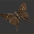 Modern Butterfly Moth 3d model