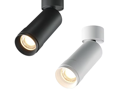 Sleek Modern Downlights And Spotlights With Black White Body And Warm Light 3d model
