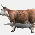 Realistic Brown And White Cow 3D Model With Detailed Fur And Horns
